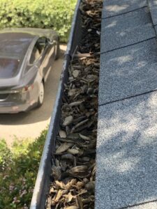 Gutter Cleaning Services in Pasadena