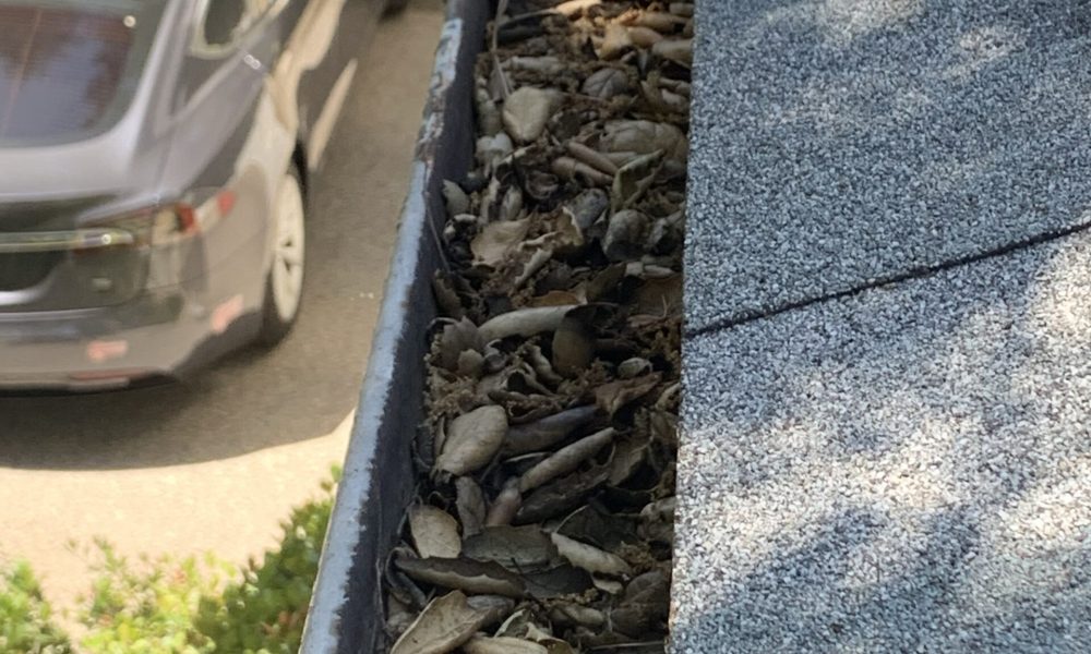 Professional Gutter Cleaning Services